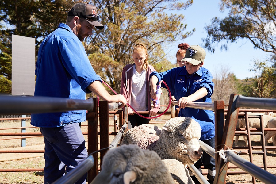 Back Track Farm